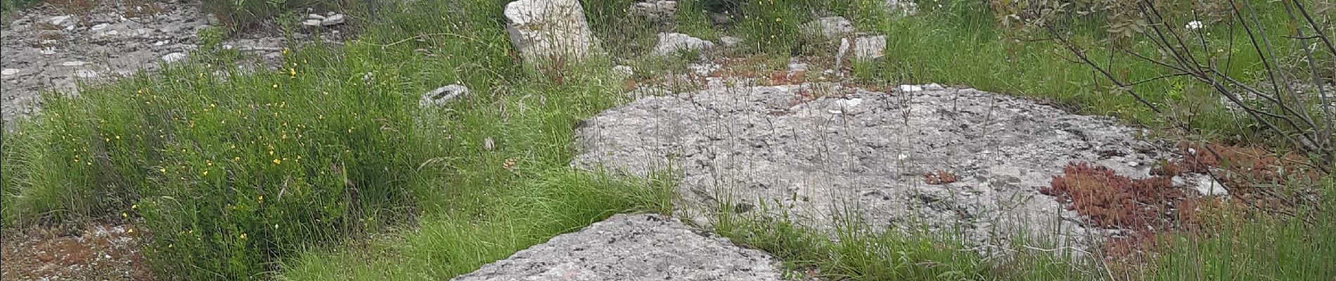 Excursión Senderismo Saint-Paul-le-Jeune - dolmens et borilles - Photo