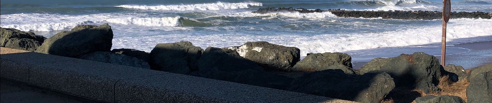 Excursión Senderismo Anglet - Promenade Victor Mendiboure Anglet - Photo