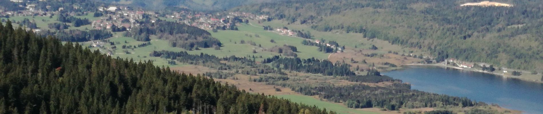 Tocht Stappen Saint-Cergue - CRÊT DES DANSES ET MONT PELÉ - Photo