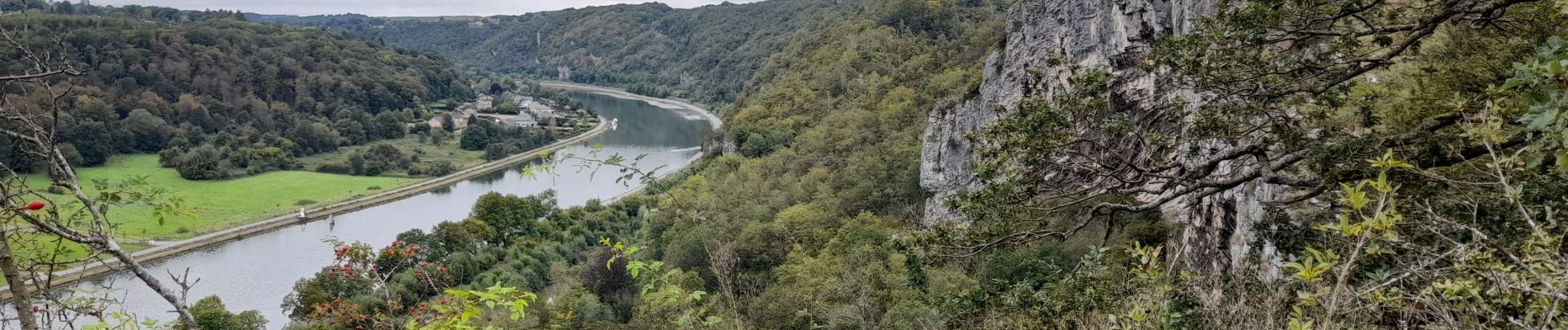 Trail Mountain bike Hastière - Hastière - Heer Agimont - Photo