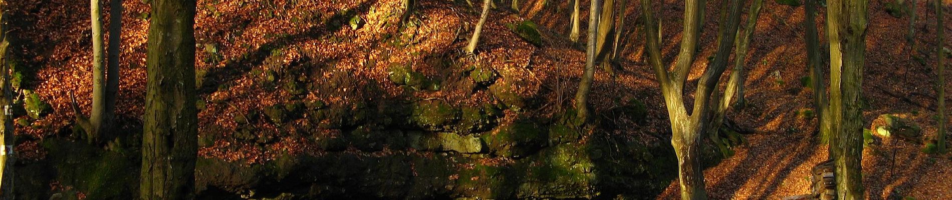 Percorso A piedi Diósjenő - K4 (Hárombarát-nyereg - Pénzásás) - Photo