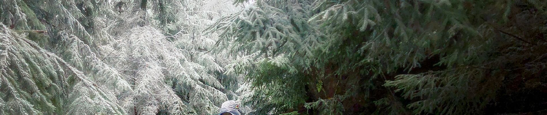 Tocht Te voet Křinice - NS Proč chodit daleko - Photo