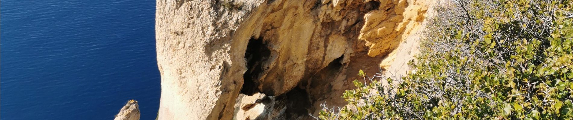 Trail Walking La Ciotat - cap canaille - Photo