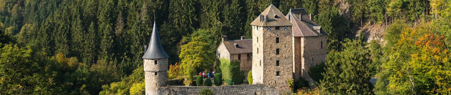 Point d'intérêt Waimes - Le château de Reinardstein  - Photo