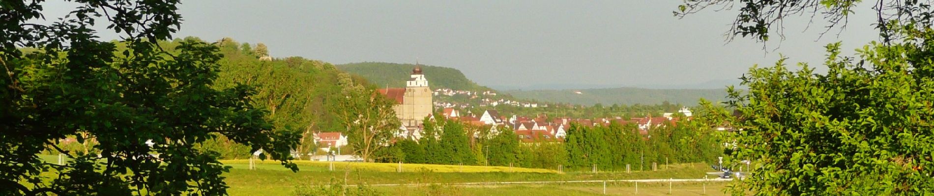 Tocht Te voet Herrenberg - Streuobsterlebnisweg Kuppingen - Photo