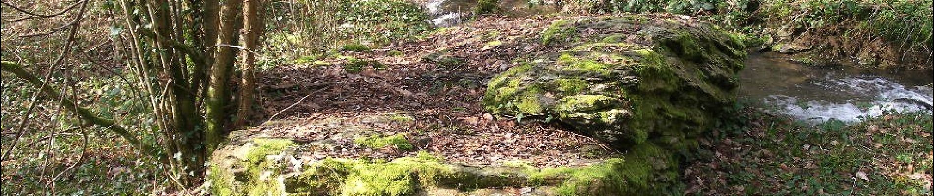 Percorso A piedi Culey-le-Patry - Le Mouin du Fay - Photo