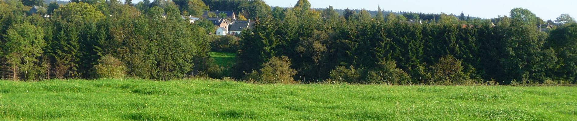 Randonnée A pied Jalhay - Wikiloc Herbiester (PVDB) - Photo