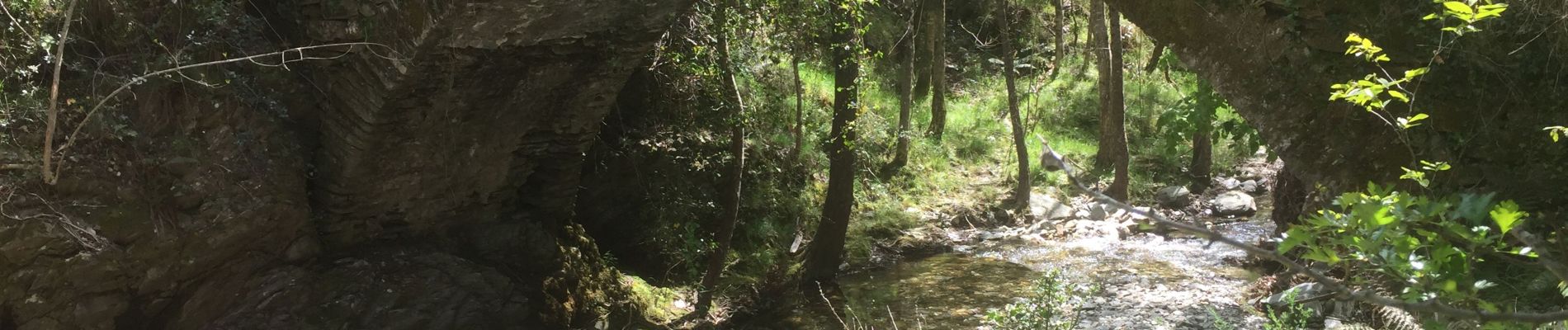 Trail Walking Saint-Privat-de-Vallongue - 30 ravin de l’enfer 7 mai 2019 - Photo