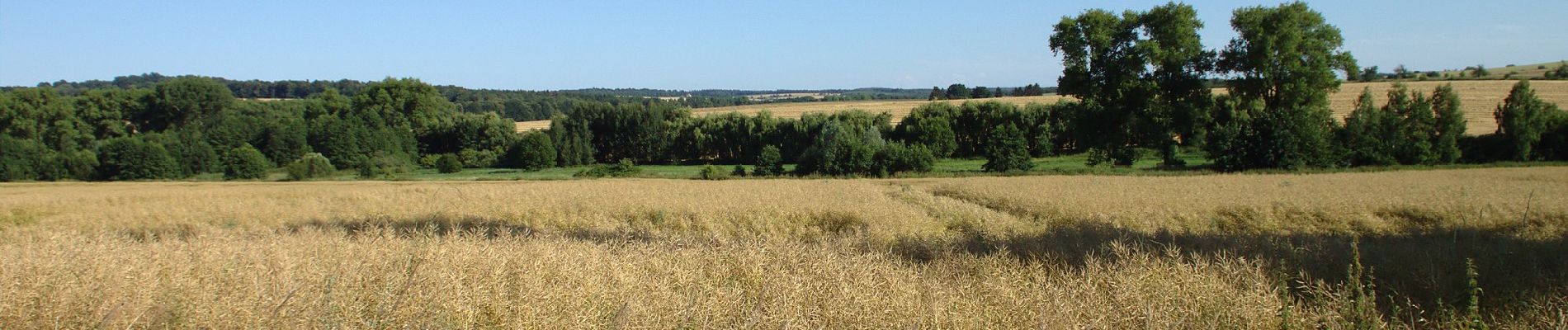 Tour Zu Fuß Unbekannt - Piława Górna - Przełęcz nad Błotnicą - Photo