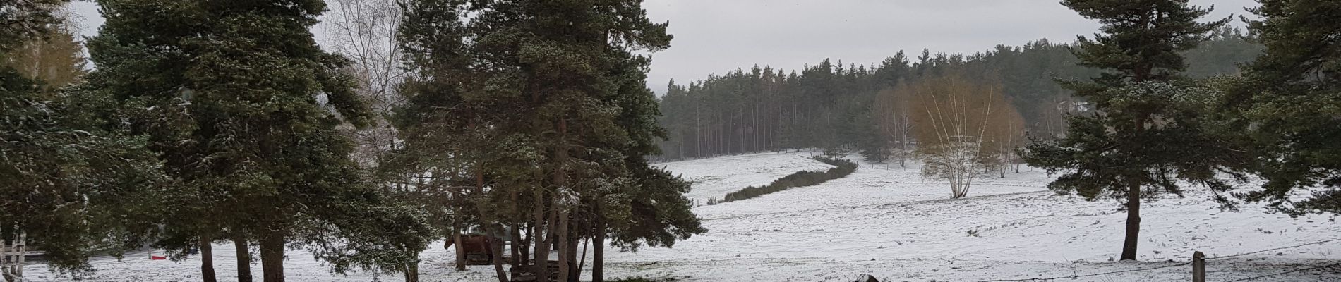 Trail Walking Peyre en Aubrac - Aumont Aubrac / Le Py auberge les gentianes  - Photo