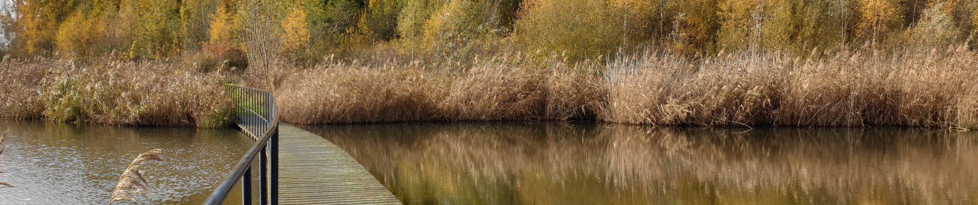 Tour Wandern Kruibeke - Kruibeke Polders - Photo