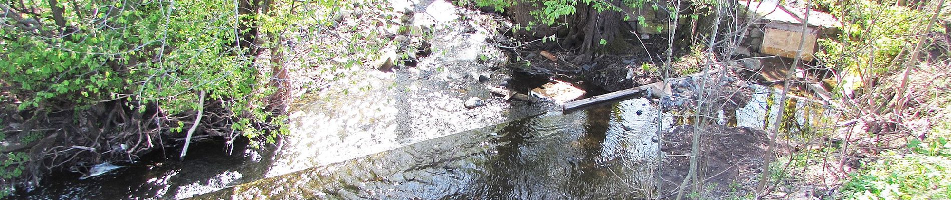 Excursión A pie Oberelsbach - Rhön-Rundweg 6 Oberelsbach Drei auf einen Streich - Photo