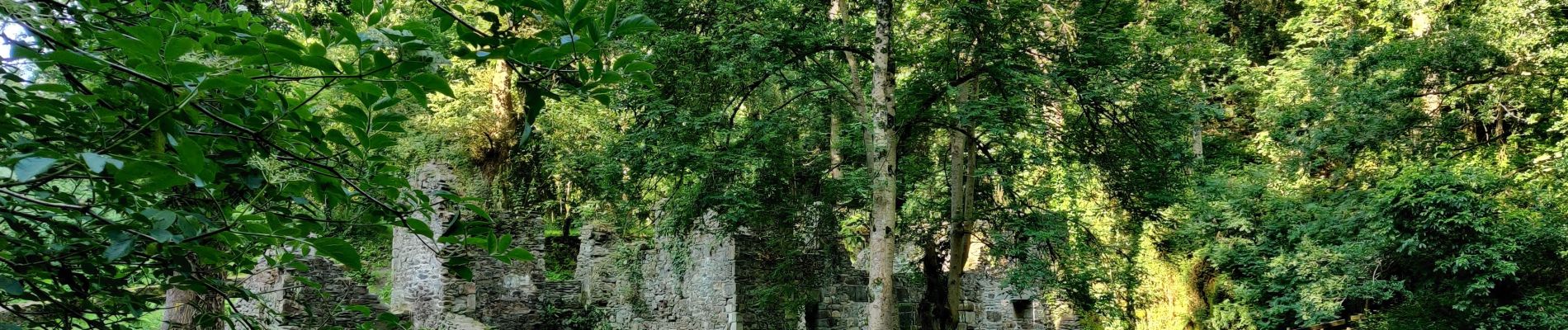 Randonnée A pied Matignon - Du bois bras à la Fresnay par le moulin de la mer - Photo