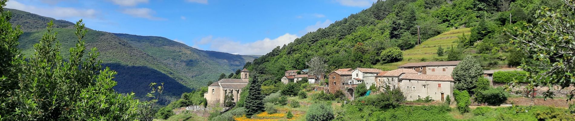 Tour Wandern Saint-Mélany - Sentier des Lauzes 17km - Photo