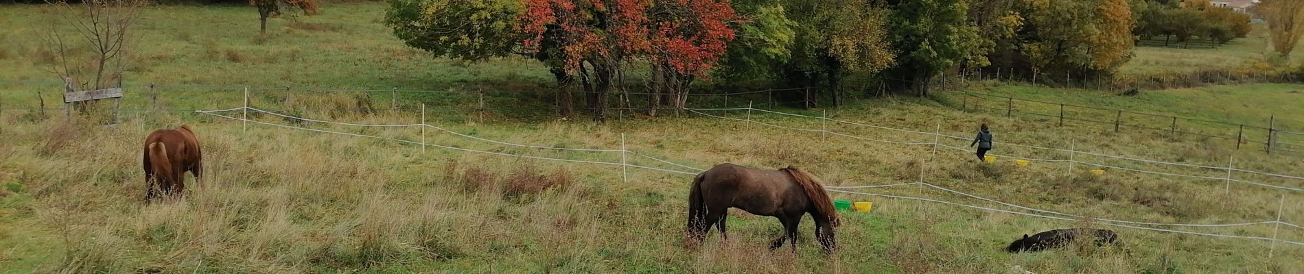 Tour Reiten Bourdeaux - Bourdeaux~Poêt Laval  - Photo