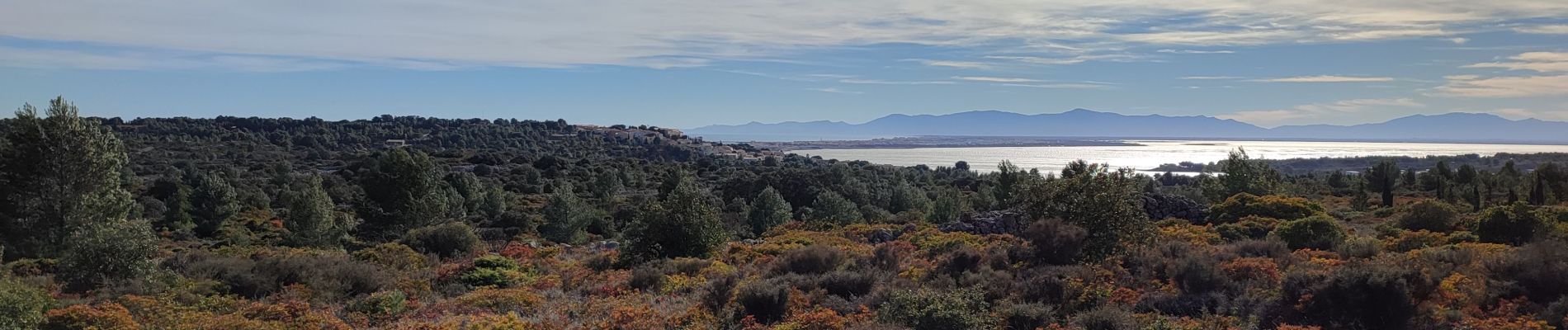 Randonnée Marche Leucate - Leucate La Franqui jusqu'au Phare - Photo