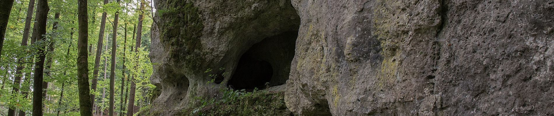 Tour Zu Fuß Königstein - Rundweg Königstein – Fichtenhof - Photo