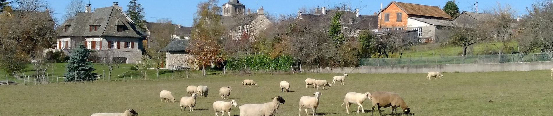 Tour Zu Fuß Le Nayrac - Un Village Fleuri - Photo