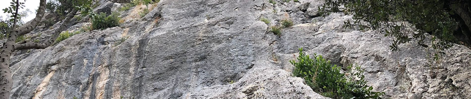 Tocht Te voet Camaiore - Traversata delle Frazioni Camaioresi - Photo