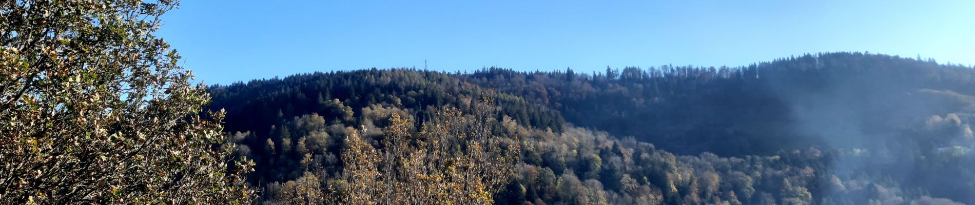 Randonnée Marche nordique Basse-sur-le-Rupt - col de Menufosse - Photo