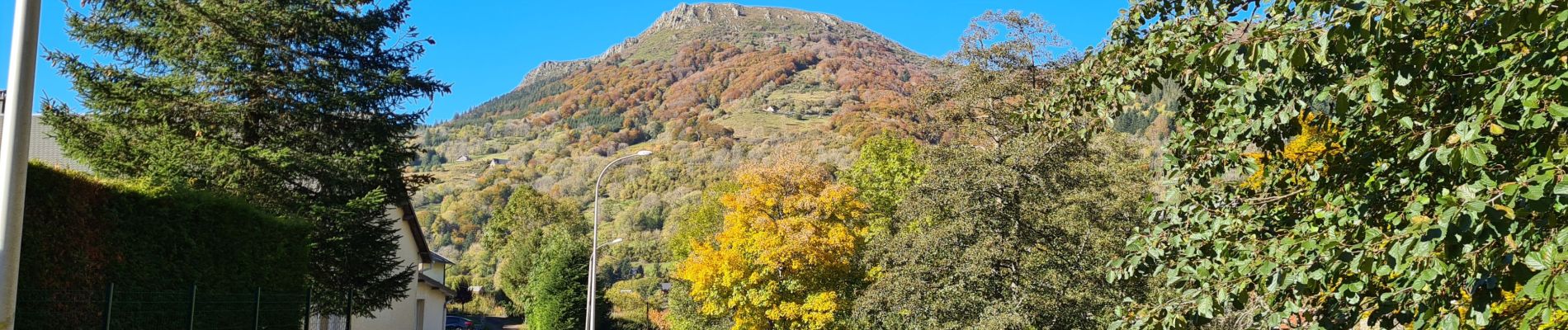 Tocht Stappen Mont-Dore - Mont-Dore, cascades Queureuilh et Rossignolet - Photo