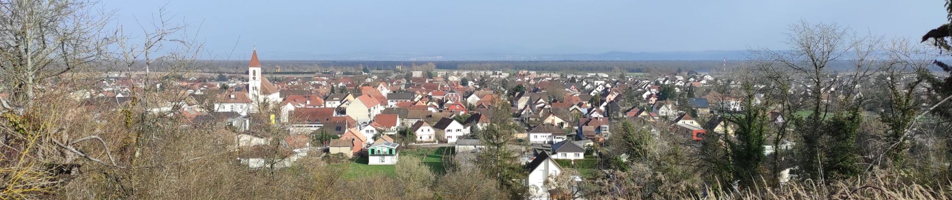 Tour Wandern Rixheim - Rixheim  - Photo