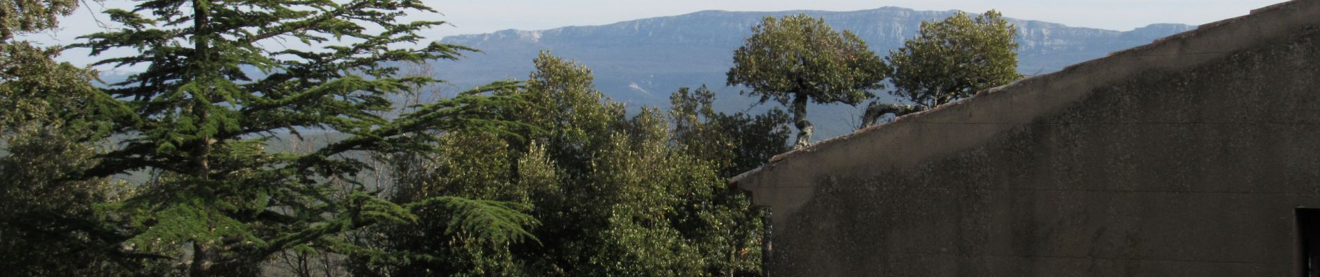 Randonnée Marche Trets - Ermitage Saint Jean du Puy - Photo