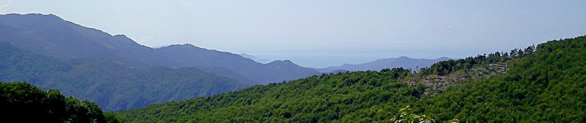 Percorso A piedi Favale di Malvaro - Acquapendente - Monte Caucaso - Barbagelata - Photo