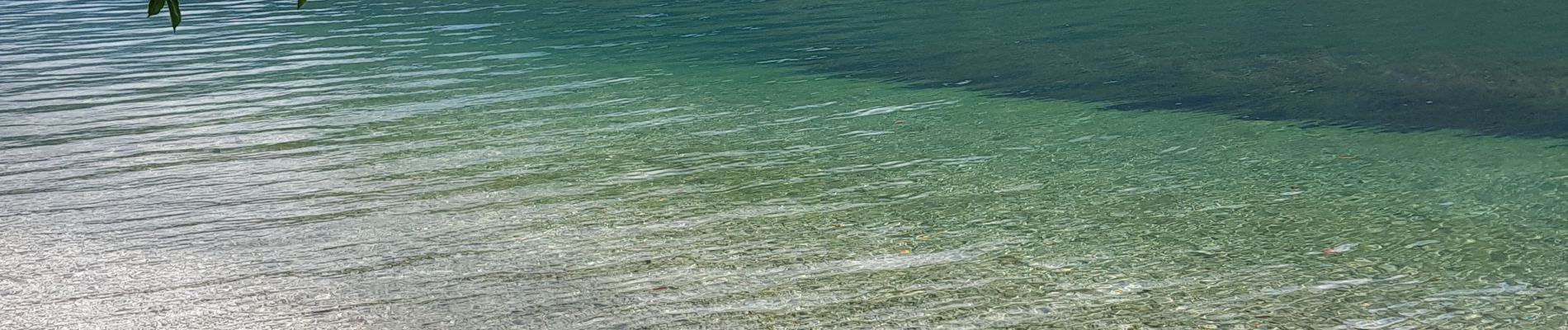 Randonnée Marche Bohinj - Lac de Bohinj - Photo