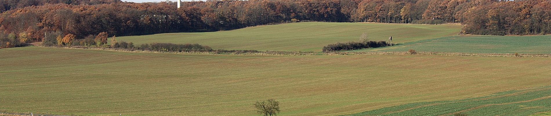 Randonnée A pied Sangerhausen - DE-Grüner Balken - Photo