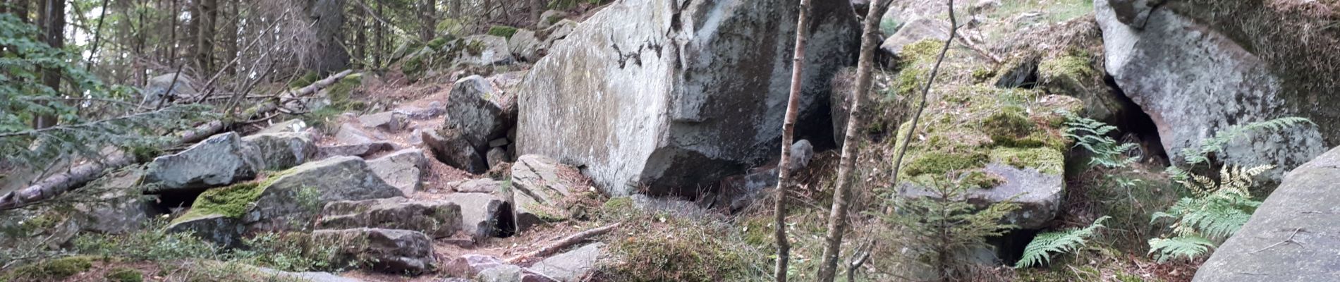 Tocht Stappen Lutzelhouse - Rocher de Mutzig à partir du Schliffstein. - Photo