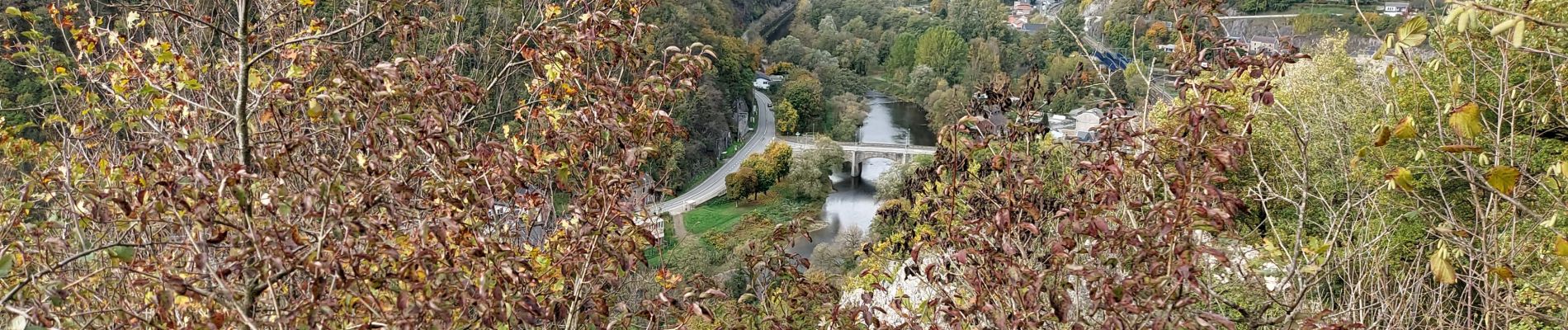 Tour Wandern Esneux - ESNEUX _ Marche Fédérale _ LG _ 22/10/2022 - Photo