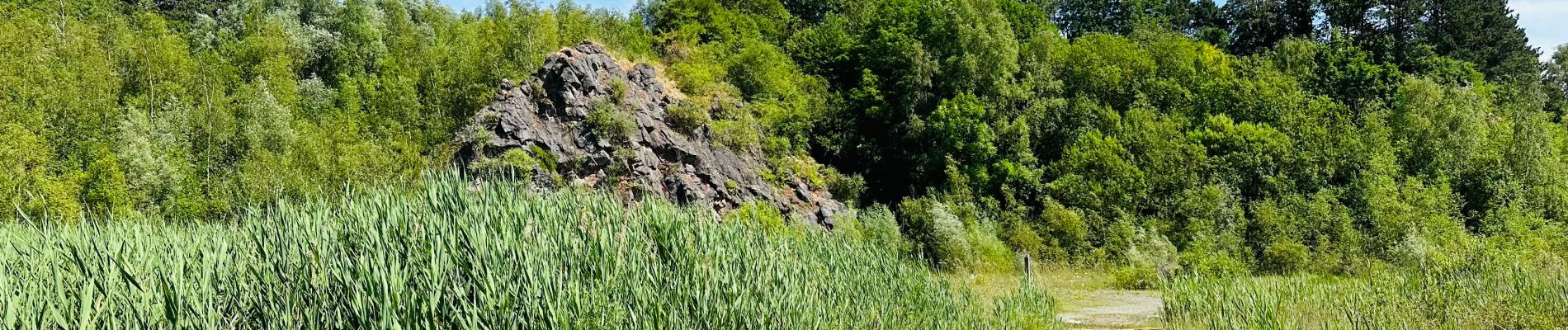 Tocht Stappen Charleroi - La réserve naturelle du Brun Chêne à Charleroi - Photo