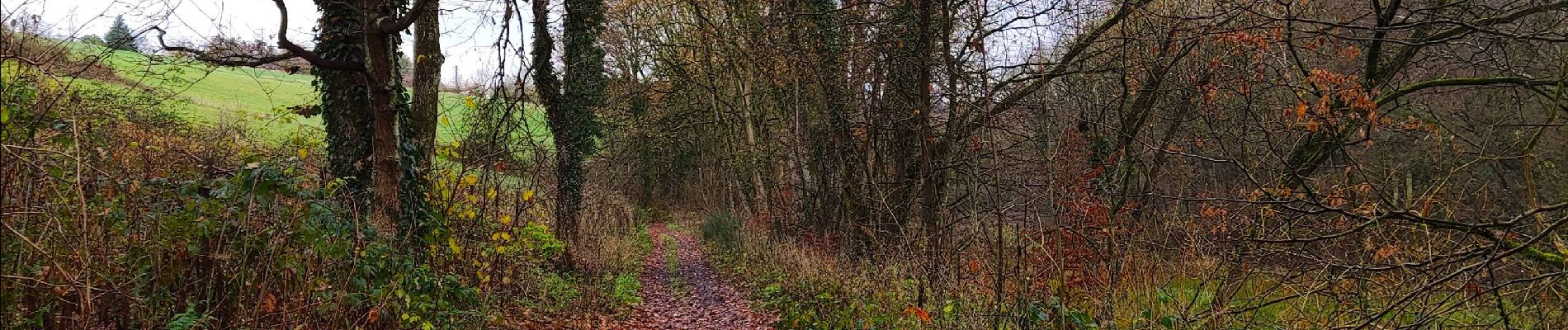 Randonnée Marche Flémalle - La vallée du ruisseau des Awirs   - Photo