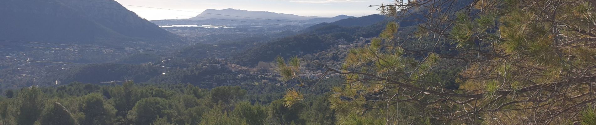 Randonnée Marche Le Revest-les-Eaux - Revest Ravin du Cierge - Photo