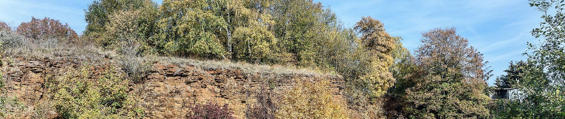 Trail On foot Volmerange-les-Mines - Club Vosgiens Sentier de la Minette - Volmerange - Dudelange - Photo