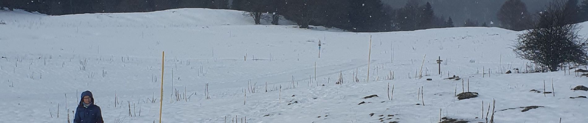 Tocht Stappen Mijoux - balade jura - Photo