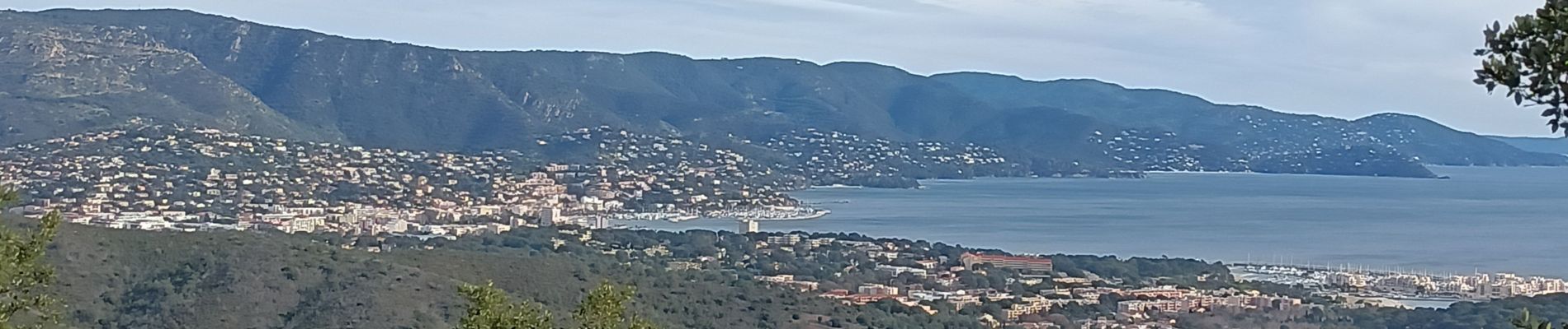 Excursión Senderismo Bormes-les-Mimosas - La Favière, Brégançon, Cabasson - Photo