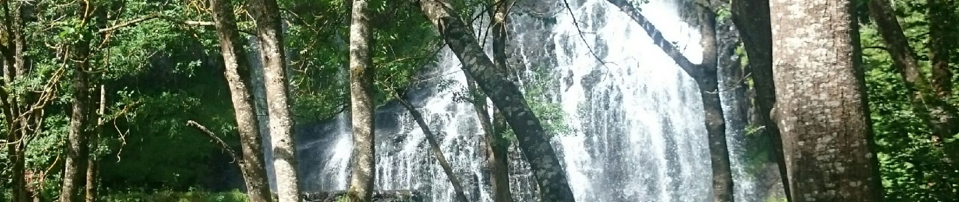 Tocht Stappen Solignac-sur-Loire - cascade de la beaume  haute loire - Photo