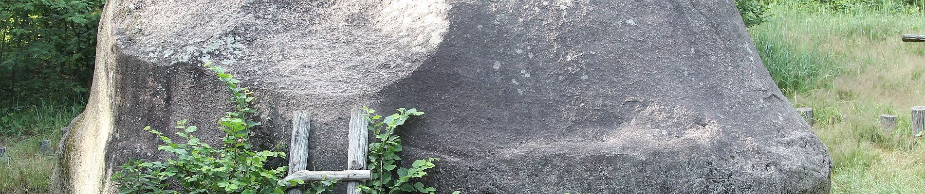 Percorso A piedi Gołuchów - Gołuchów - Jedlec - Photo