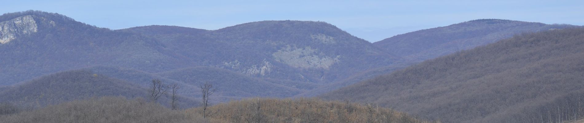 Tour Zu Fuß Erlau - P+ (Felnémet-Varró-ház) - Photo