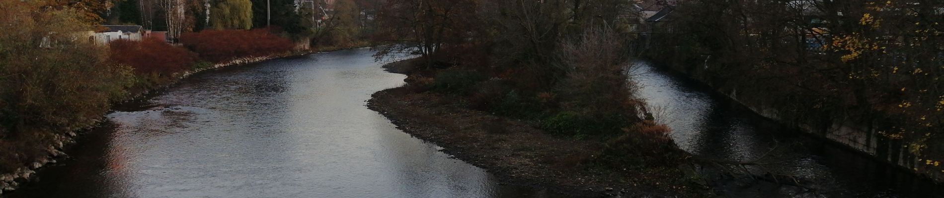 Trail Walking Esneux - Mery, Abbaye de Brialmont, bois de Cortil - Photo