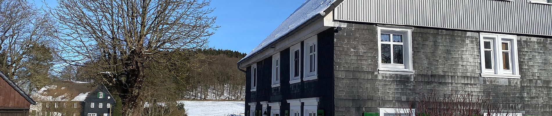 Tocht Te voet Radevormwald - Uelfe Rundweg A2 - Photo