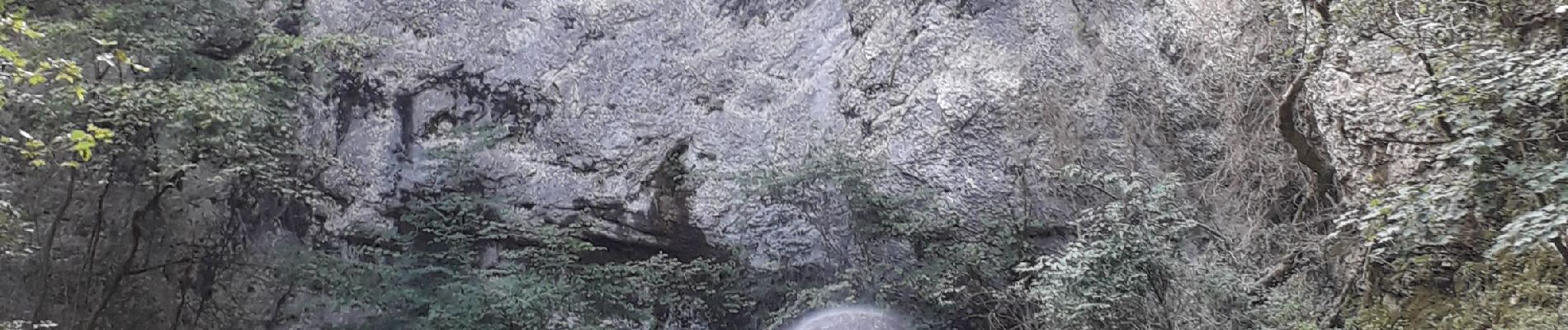 Tocht Stappen Dramelay - des ruines de Dramelay à la cascade de Quinquenouille - Photo