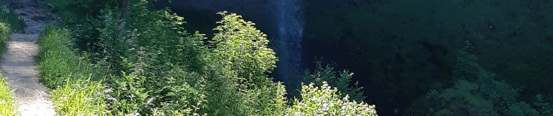 Tocht Stappen Salins - cascade de Salins - Photo