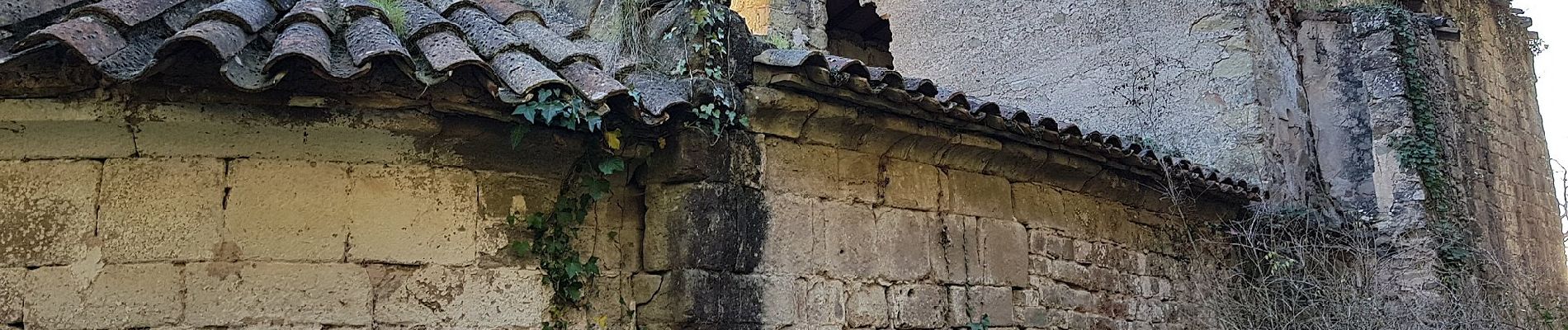 Percorso A piedi Sant Miquel de Campmajor - Ruta del veïnat de Roca i Briolf - Photo