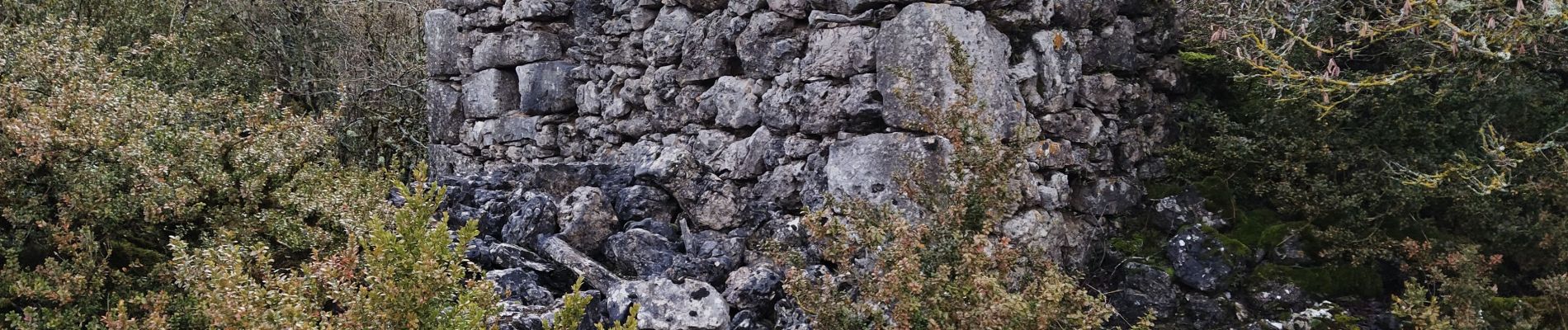 Excursión Senderismo Sainte-Eulalie-de-Cernon - boîtes jaunes - Photo