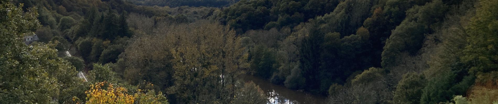 Tour Wandern Pluméliau-Bieuzy - Saint Nicolas des eaux - Photo