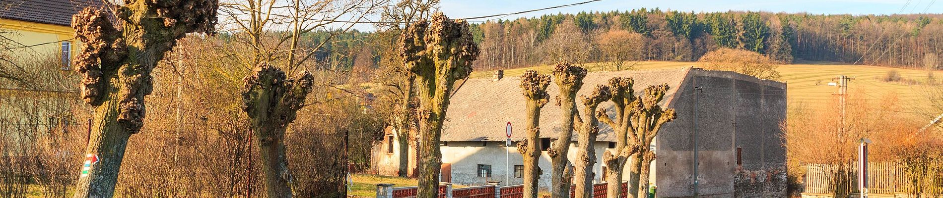 Randonnée A pied Vápenný Podol - [Z] Vápenný Podol - Lovětínská rokle - Photo