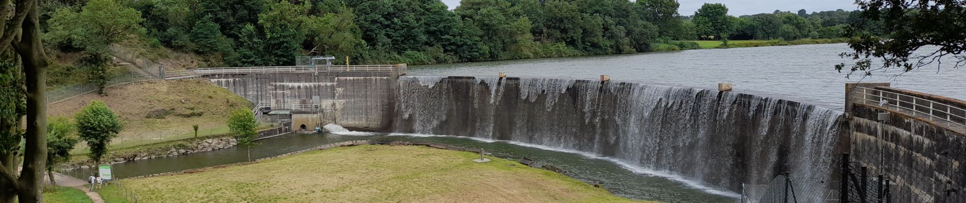 Tocht Stappen La Tessoualle - MAINE ET LOIRE: TOUR DU LAC DE RIBOU - Photo